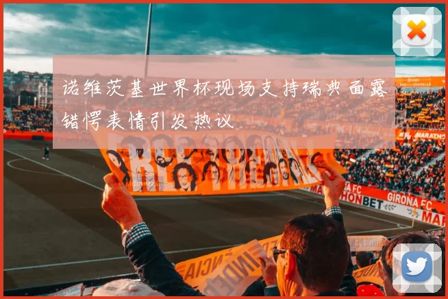 诺维茨基世界杯现场支持瑞典面露错愕表情引发热议