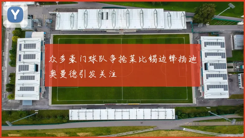 众多豪门球队争抢莱比锡边锋扬迪奥曼德引发关注