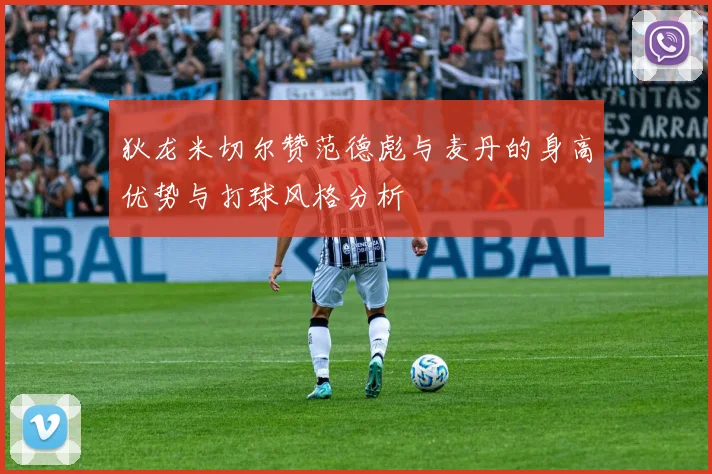 狄龙米切尔赞范德彪与麦丹的身高优势与打球风格分析