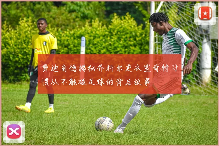 费迪南德揭秘乔科尔更衣室奇特习惯从不触碰足球的背后故事