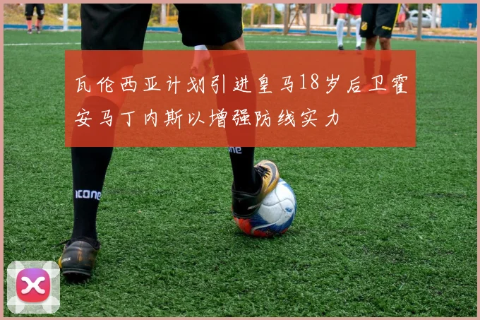 瓦伦西亚计划引进皇马18岁后卫霍安马丁内斯以增强防线实力